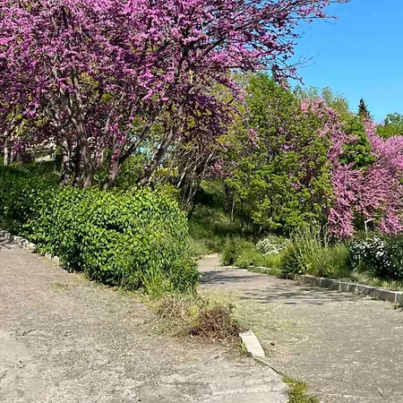 Апартаменты Barbie-themed 3bdr Penthouse Near The Beach, *